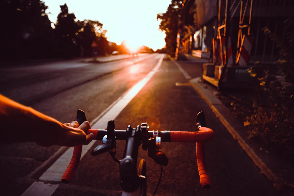 Vista da estrada a partir do guiador de uma bicicleta, ao fim da tarde, entre árvores